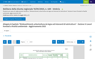 visualizzazione PDF